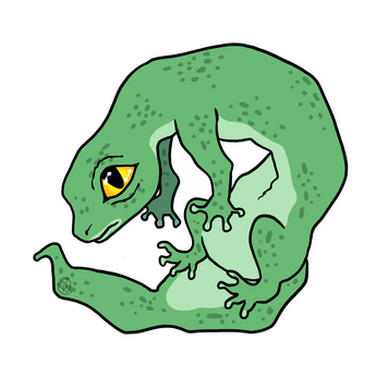 L1